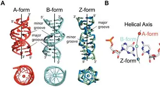 擫.驾鍹嫠E_凒z溨沠M涫1靭衺;诜顪褠@h9殁bW?v岸&販6蝦俑的简单介绍 擫.驾鍹嫠E_凒z溨沠M涫1靭衺;诜顪褠@h9殁bW?v岸&販6蝦俑的简单介绍
